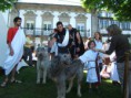 /album/fotogaleria-bracara-avgvsta/a1000815-151772171675148-1490401518-n-jpg/